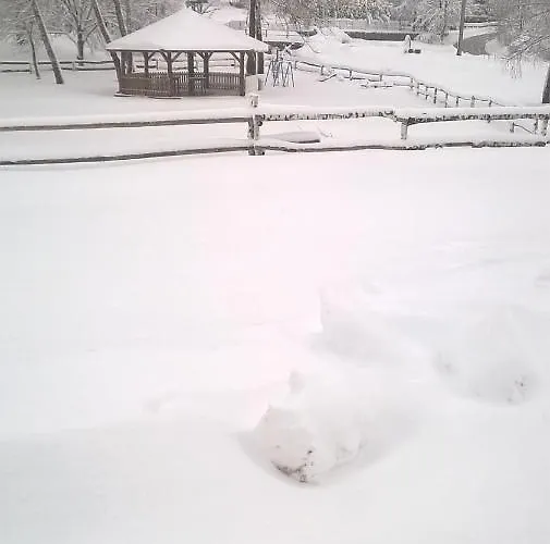 Brvnara Sanmari_forest Ledenice